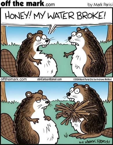 FB_IMG_1746106264621