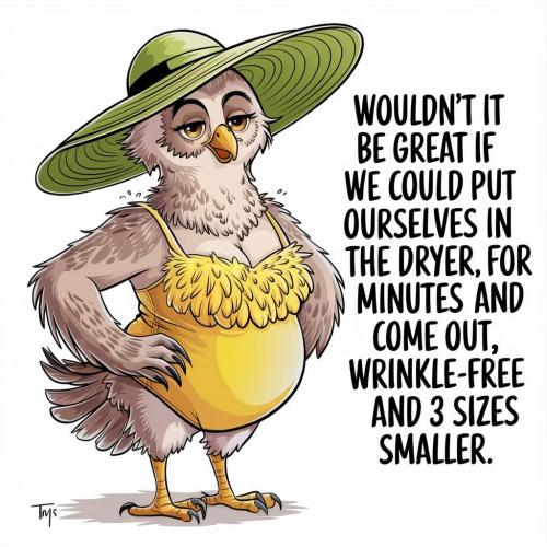 FB_IMG_1748200828948