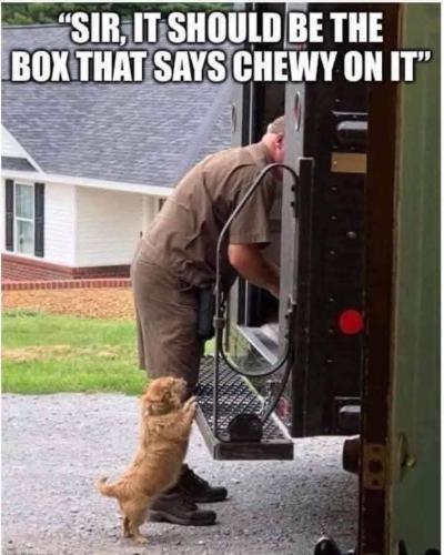 FB_IMG_1746635635542