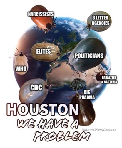 IMG_20250524_150325_711