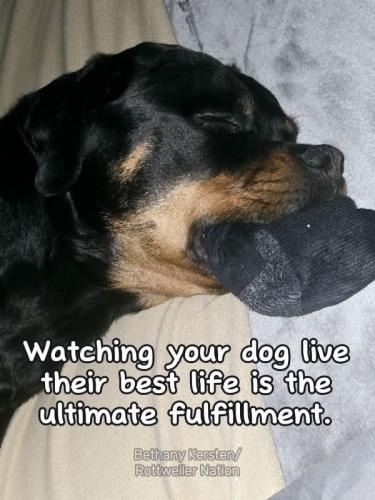 FB_IMG_1747772111371