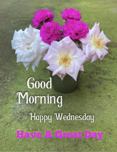 500106263_1004355895219187_9114707409411371007_n