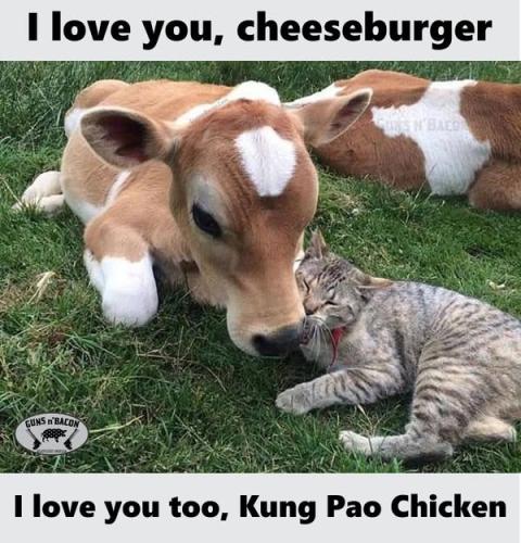 5 491916415_1222244769689528_3228349372314682660_n