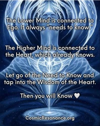 ,    . 419866087_28907701416