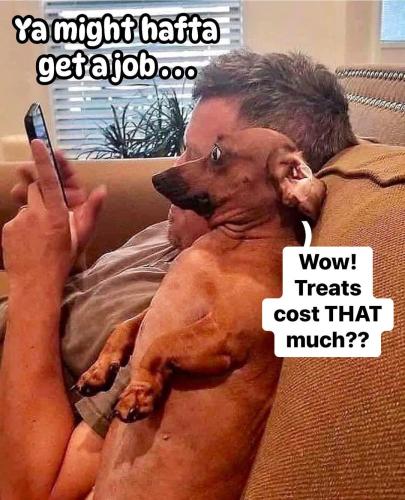 FB_IMG_1746311131568