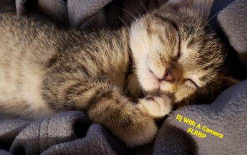 Screenshot_20250531_082811_Gallery