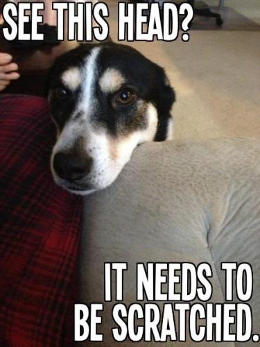 d986f3aab78461604d724341f8711532