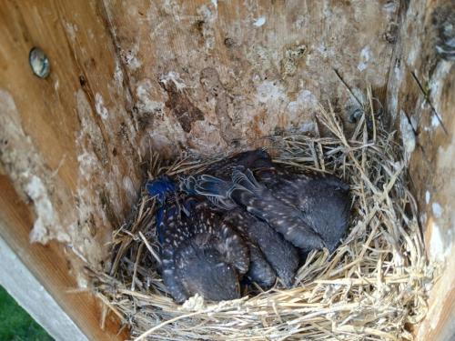 8af3f535-8849-48c2-a951-edcff53cf14e