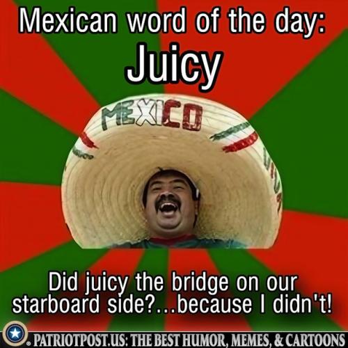 01JVNZDQDFYK30NS283NJ9XB2C