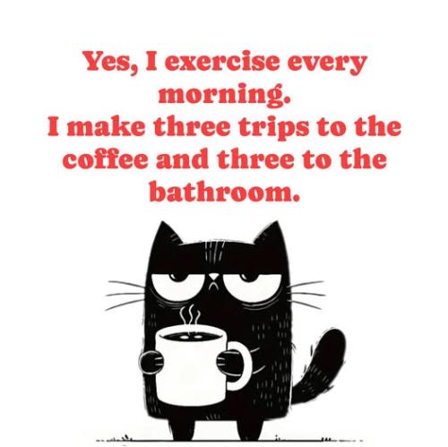 494054476_533185786531301_672397876441310596_n