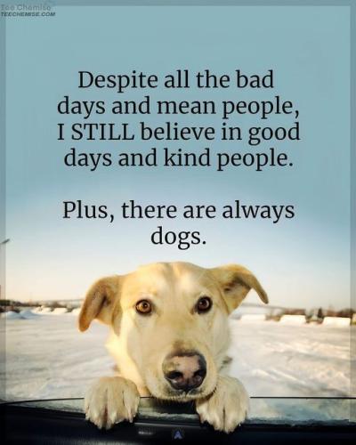 720819086d84052d3c7866b731c067a9