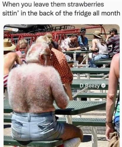 Screenshot_20250521_114935_Gallery