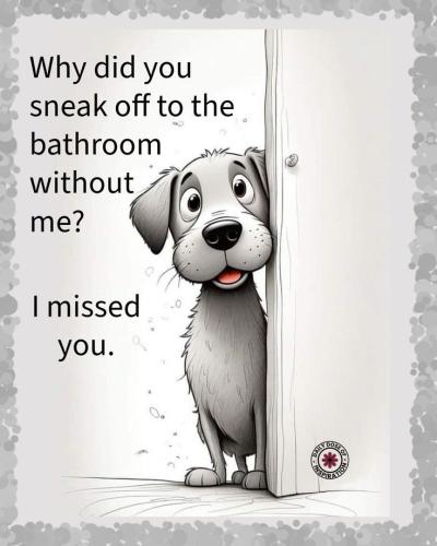 ddfd90f0dac7e52d34ccee123a94559f