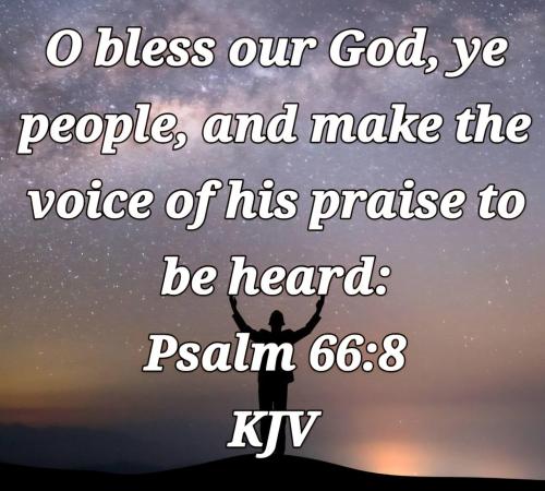 bdfc7b2d-5c7b-47bc-958e-43ecd7103ff3