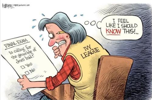 2ad913c4-7b2e-48fd-bc5a-5e5ceb8b93e5_1132x748