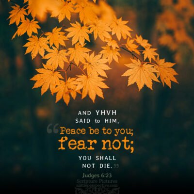 jud-6-23-HBE-unsplash-400x400