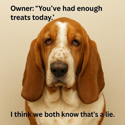 FB_IMG_1747677015191