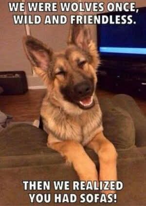 FB_IMG_1746294471261