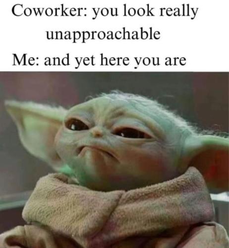 FB_IMG_1748459786750