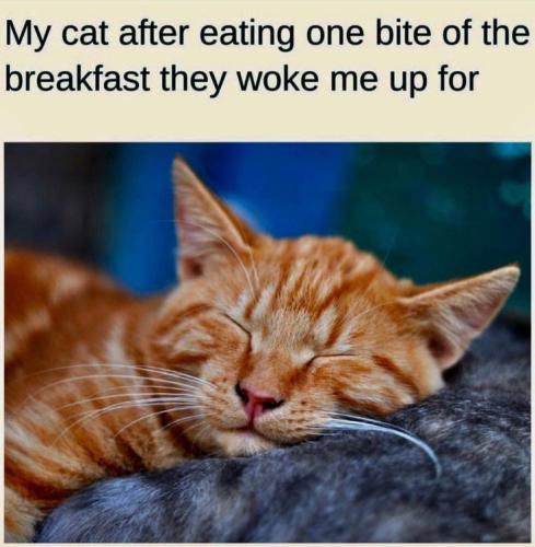 4dcae270bfb5af46dde66c414d58f41c