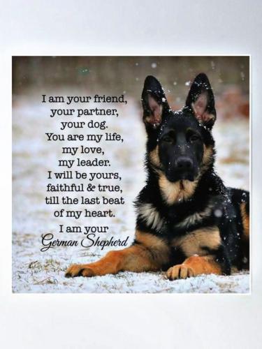 FB_IMG_1746385370857