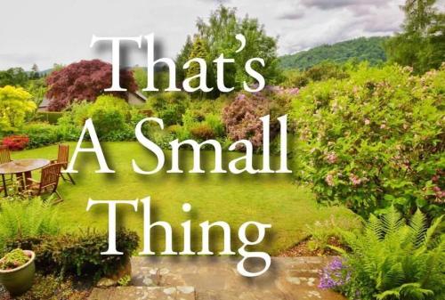 92ca858b-8852-4c2d-8a2e-6229bd043247