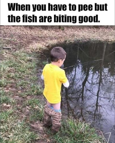 FB_IMG_1746913467585