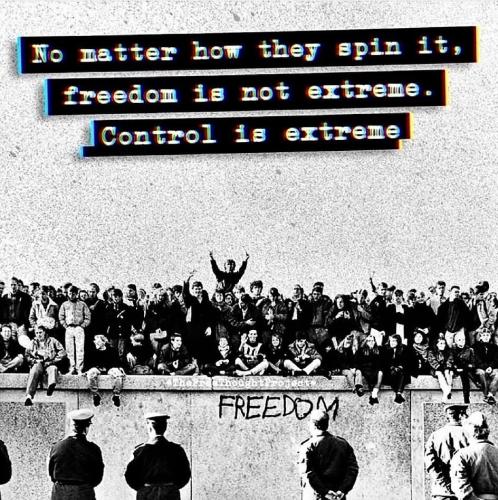 FB_IMG_1748476211345