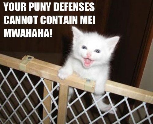 df9d1a78833c6de04cc0d415732ff4fc