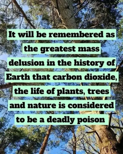 image_2025-05-20_060504552