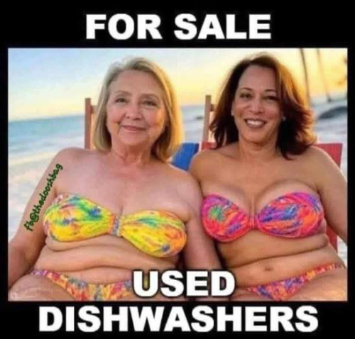 image_A4909302-CF28-462D-BF24-3D0C57FE273C