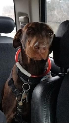 Screenshot_20230122-154442_Messages