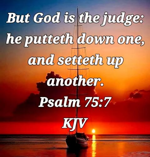 562ed8da-92fb-454b-a015-b6eea1dc2f8e