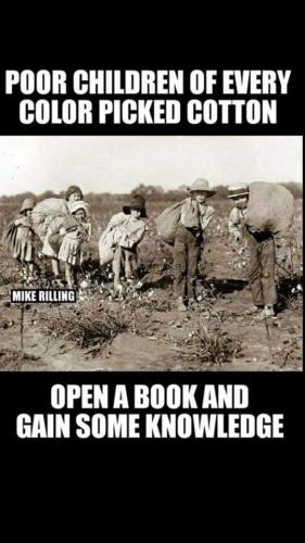 FB_IMG_1557109731664