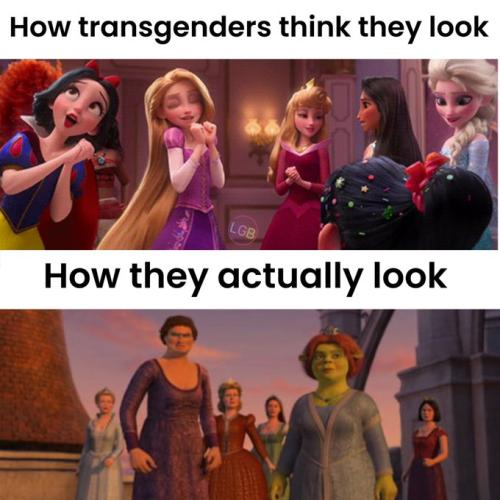 TRANNIES LOOK
