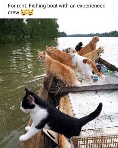 FB_IMG_1746487372861