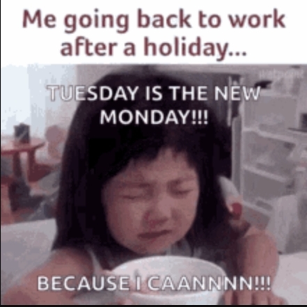 Screenshot_20250527_093653_Brave