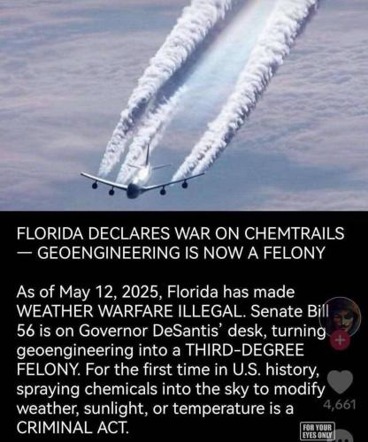 florida declares war