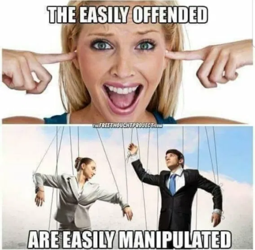 image_2025-05-28_061423873