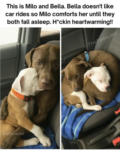 FB_IMG_1748194781153