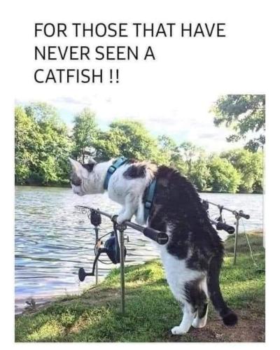 31e8ca7b713ee342b9f17509e644f84e