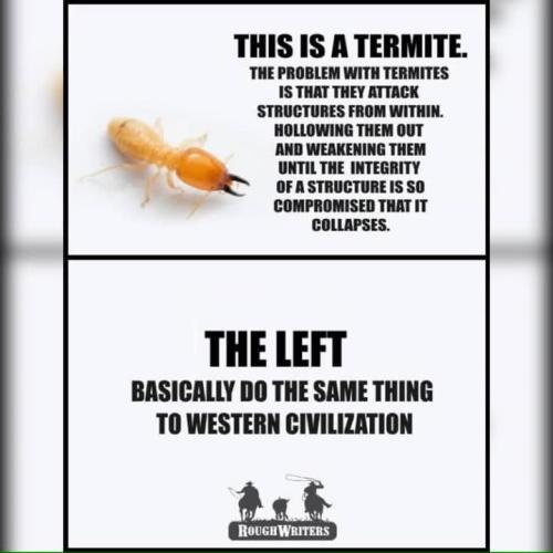 FB_IMG_1747176855860