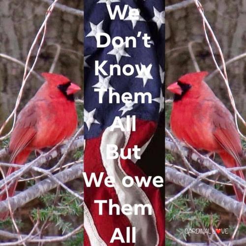 FB_IMG_1748034176322