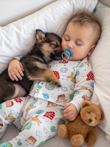 FB_IMG_1748640234382