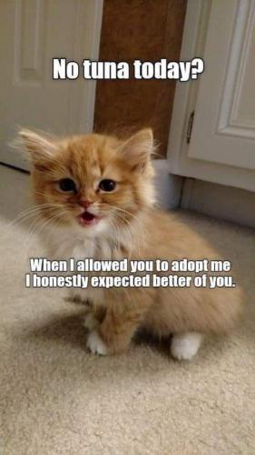 75be1755b4c7ae5cfaec82c3b6ea98f8