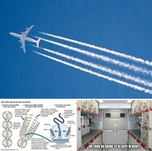 1b9f97d8-dc30-4cc5-8736-49c65de2a735