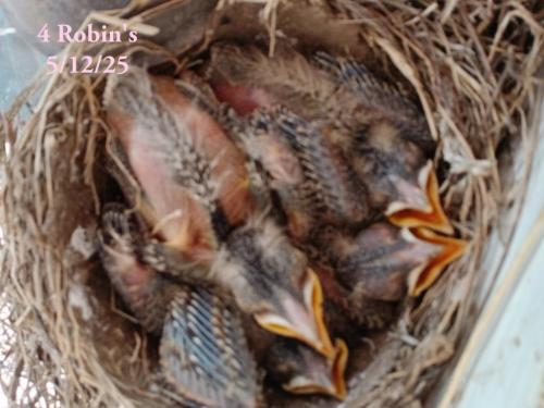 e028e431-4b4c-49fd-94dd-6f56d0c3bd66