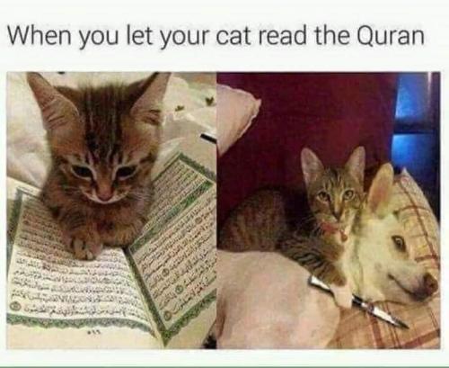 FB_IMG_1557695843449