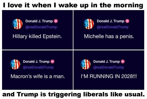 Trump triggering liberals.1001px