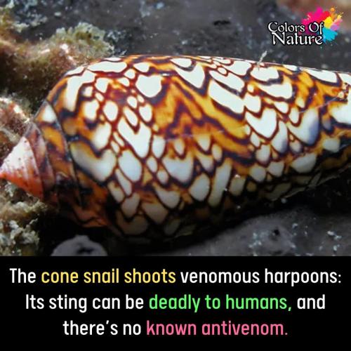 FB_IMG_1746347549459